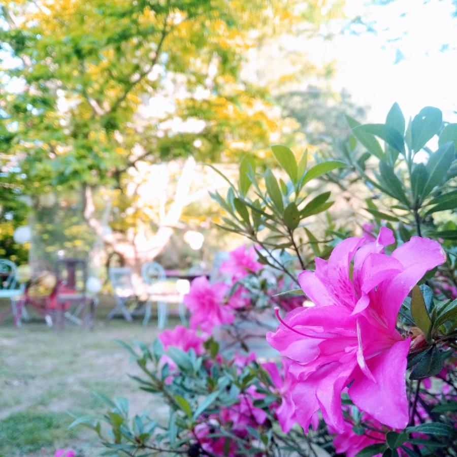 Bed and Breakfast Domaine De La Clef Des Champs Limeray Exterior foto