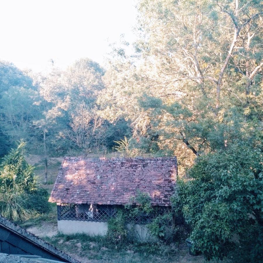 Bed and Breakfast Domaine De La Clef Des Champs Limeray Exterior foto